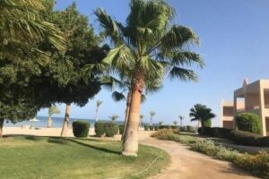 Marsa Alam